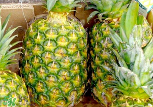 綠菠蘿可以吃嗎？菠蘿是綠的能吃嗎？