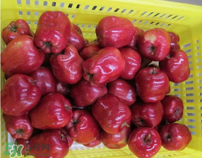 蛇果打蠟用什么洗？蛇果上的蠟怎么去除？