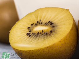 奇異果多少錢一斤？奇異果多少錢一個(gè)？