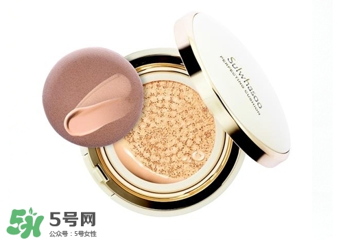 氣墊霜哪個牌子好用 哪個氣墊霜好用 氣墊霜哪個牌子好用 哪個氣墊霜好用