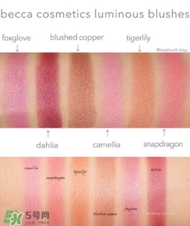 becca腮紅色號(hào)試色 becca腮紅試色圖 becca腮紅色號(hào)試色 becca腮紅試色圖