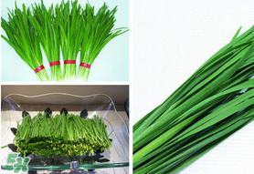 驚蟄前后可以種什么？驚蟄前后種什么蔬菜？