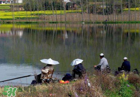 驚蟄前后好釣魚嗎？驚蟄前后釣魚技巧