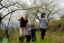 驚蟄穿什么衣服？驚蟄穿什么？