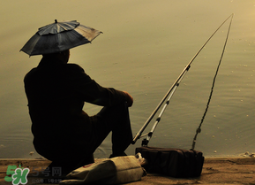 驚蟄能釣魚嗎？驚蟄釣什么魚好？