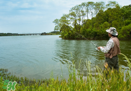 驚蟄能釣魚嗎？驚蟄釣什么魚好？
