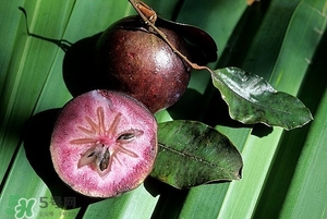 百香果吃法 百香果吃什么 百香果吃法 百香果吃什么