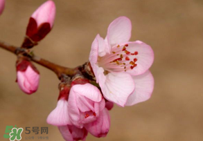 2017年春分是什么時候？2017年春分是幾月幾號？