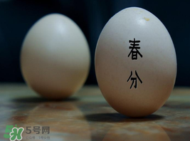 春分為什么能豎蛋？春分豎蛋原理
