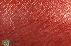 雅詩蘭黛envy130試色 雅詩蘭黛傾慕唇膏130試色圖 雅詩蘭黛envy130試色 雅詩蘭黛傾慕唇膏130試色圖