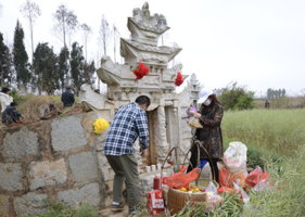 春分可以上墳嗎？春分可以掃墓嗎？