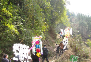 2017年什么時(shí)候攔社？2017年新墳攔社是哪一天？