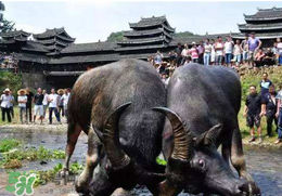 春社日怎么計(jì)算？2017年春社怎么算？