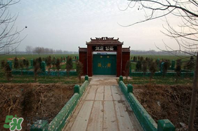 新墳不過社是什么意思？新墳不過社2017年哪一天？