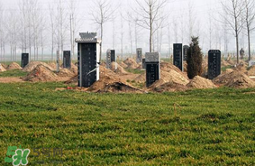 新墳不過社是什么意思？新墳不過社2017年哪一天？