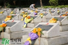 2017年清明節(jié)天氣怎么樣？2017年清明節(jié)天氣情況預測