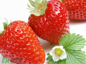 三月份有草莓嗎？三月份的草莓可以吃嗎？