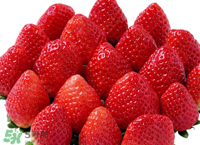 三月份有草莓嗎？三月份的草莓可以吃嗎？