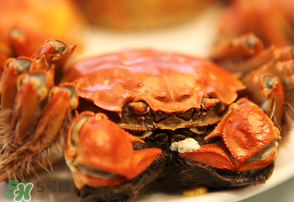 3月份還有大閘蟹嗎？3月份的大閘蟹能吃嗎？