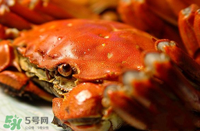 三月份吃什么螃蟹？3月份吃什么螃蟹？