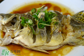 三月份吃什么魚？3月份吃什么魚好？