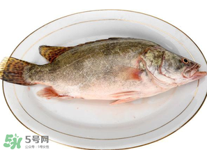 三月份吃什么魚？3月份吃什么魚好？