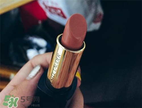 雅詩(shī)蘭黛envy110多少錢(qián)？雅詩(shī)蘭黛傾慕唇膏110價(jià)格