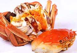 三月份吃什么螃蟹？3月份吃什么螃蟹？