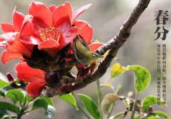 2017年春分是什么時候？2017年春分是幾月幾號？