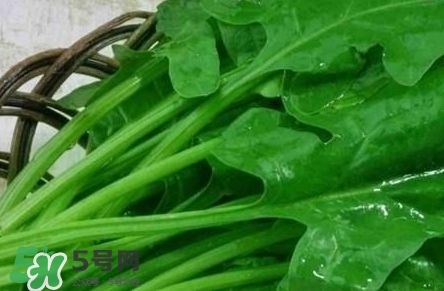 富含葉酸的食物有哪些？富含葉酸的蔬菜水果