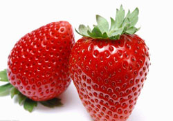 陽臺上怎么種草莓？如何在陽臺上種草莓？