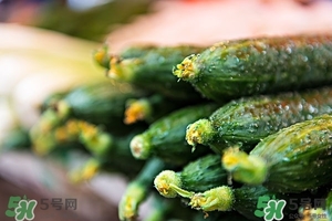 黃瓜的功效 黃瓜的作用 黃瓜的功效 黃瓜的作用