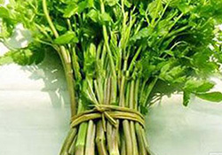 孕婦可以吃野芹菜嗎？孕婦吃野芹菜有什么好處？