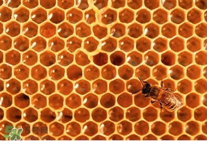 蜂蜜的作用與功效 蜂蜜的好處 蜂蜜的作用與功效 蜂蜜的好處