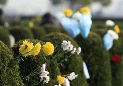 平時可以去掃墓嗎？平?？梢匀ド蠅瀱?？