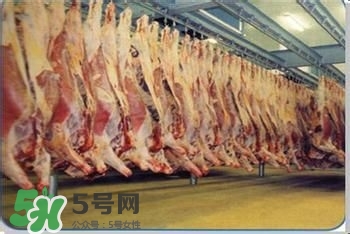 富含葉酸的食物有哪些？富含葉酸的蔬菜水果