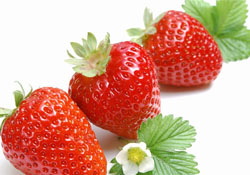 家里可以種草莓嗎？陽(yáng)臺(tái)上可以種草莓嗎？