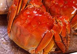 3月份還有大閘蟹嗎？3月份的大閘蟹能吃嗎？