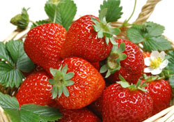 自己在家種草莓好養(yǎng)嗎？如何在家里種草莓？