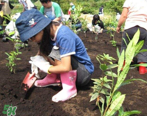 ?3月份可以種什么？?3月份可以種什么果樹(shù)？