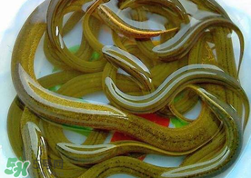 三月份可以釣黃鱔嗎？幾月可以釣黃鱔？