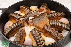 三月份可以釣黃鱔嗎？幾月可以釣黃鱔？