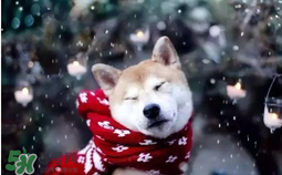 3月份還有冷空氣嗎？什么時候冷空氣結(jié)束？