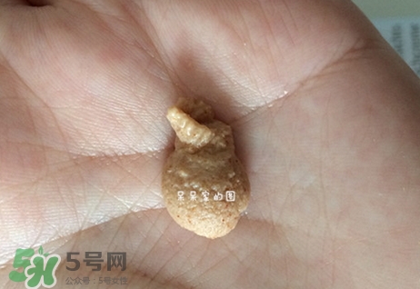 德國世家律動(dòng)潔面膏怎么用?德國世家律動(dòng)潔面膏使用方法 德國世家律動(dòng)潔面膏怎么用?德國世家律動(dòng)潔面膏使用方法