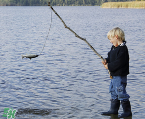 3月份釣什么魚？3月份怎么釣魚？