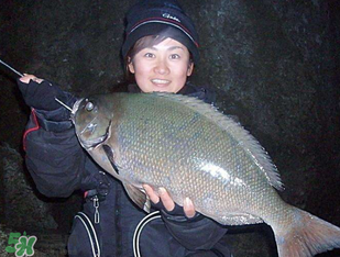 3月份釣魚(yú)用什么餌料？三月份釣魚(yú)用什么魚(yú)餌？