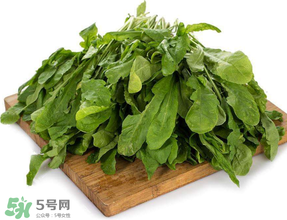 薺菜葉子黃了能吃嗎？薺菜發(fā)黃能吃嗎？