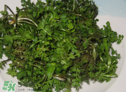 薺菜怎么洗？薺菜怎么洗才干凈？