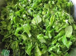 薺菜怎么洗？薺菜怎么洗才干凈？