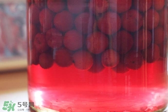 楊梅酒的做法 自制楊梅酒的做法 楊梅酒的做法 自制楊梅酒的做法